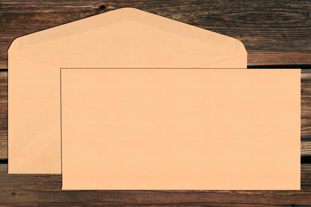 Briefhüllen DL 110x220 mm Nassklebend Aprikose 120 g/qm